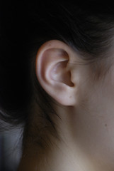 The ear