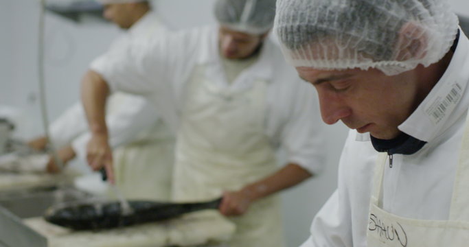 Workers in a seafood processing factory preparing fresh fish for sale