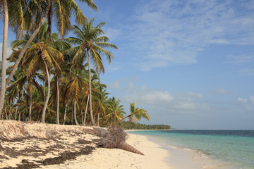 Tropical beach in Dominican Republic