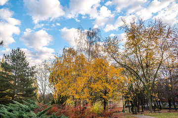 Park between buildings at autumns in Bratislava, Slovakia