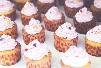 Holiday cupcakes with pink cream