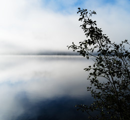 Horizontal dramatic Norway in fog right aligned bush background