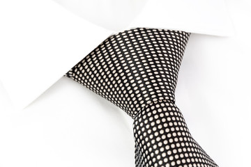 black and white spotted tie knotted Windsor