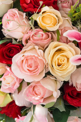 Bunch of flowers