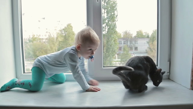 Little boy with black cat sitting near window at home