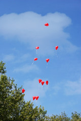 Herz Luftballon steigen auf
