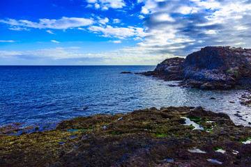 Stone Coast or Shore of Atlantic Ocean