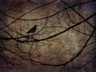 scary Crow on the branches