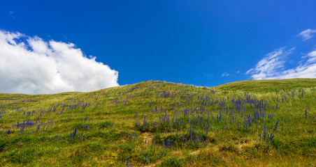 Naturlandschaft in Ystad, Schweden