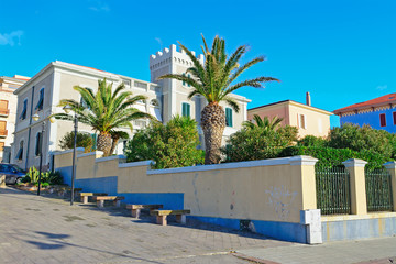 palms and buildings in Alghero