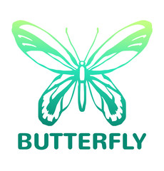 Vector blue color butterfly icon illustration