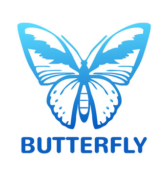 Vector blue color butterfly icon illustration