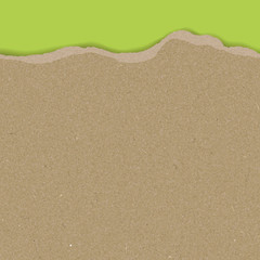 Vector Carton Paper Texture with a continuous torn edge