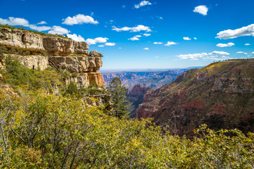 Grand Canyon landscapes.