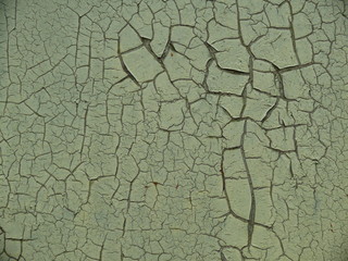 cracked white paint