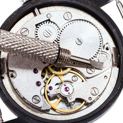 screwdriver on open repaired watch isolated