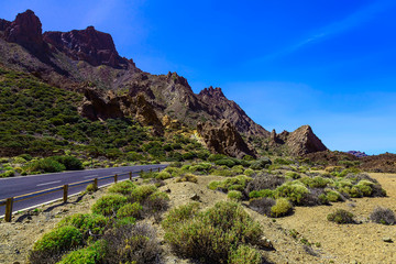 Landscape with Road on Tenerife Island