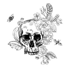 Skull, Flowers Day of The Dead, Black and white Vector illust