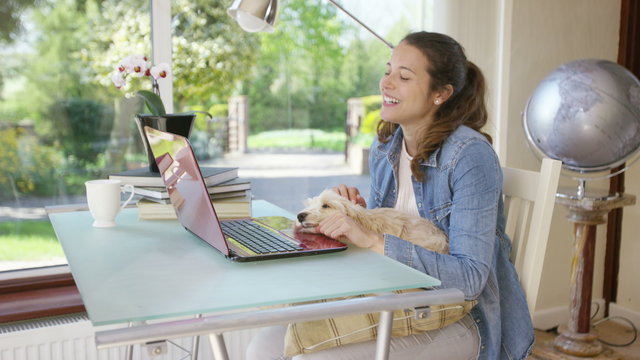  Woman working on laptop computer at home with cute puppy sitting on her lap. 