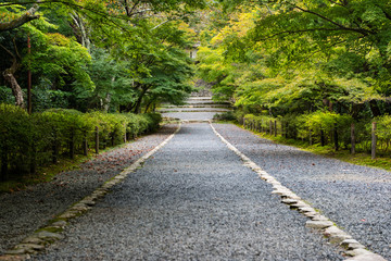 Fototapeta na wymiar Stone path through Japanese forest in early Autumn