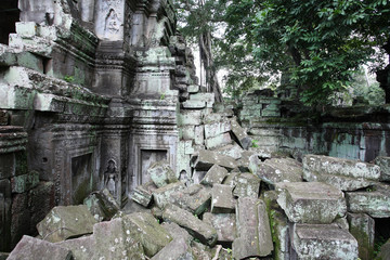 Fototapeta na wymiar Ta Prohm Temple, Angkor Wat, Cambodia