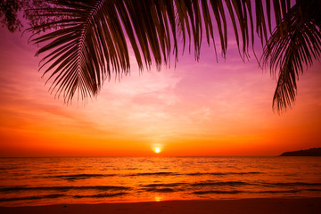 Fototapeta na wymiar sunset and beach. Beautiful sunset above the sea