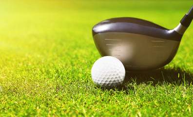 Golf club and ball on a green grass