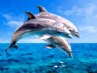 Fototapeta premium dolphin