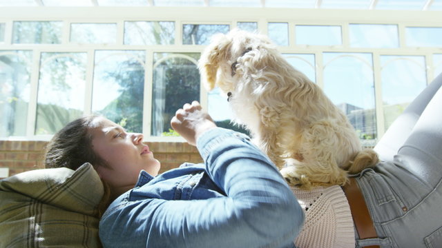  Woman relaxing at home with cute young cocker-poo puppy. 