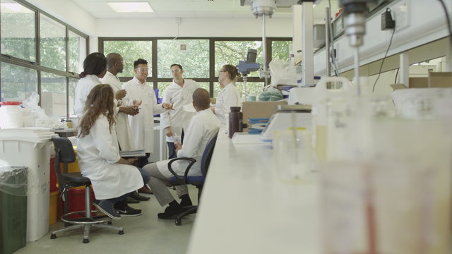  People in laboratory white coats work as a research team using scientific methods and technology.