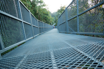 bridge of iron in the forest 
