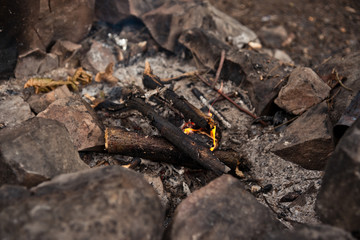 Campfire in the winter forest