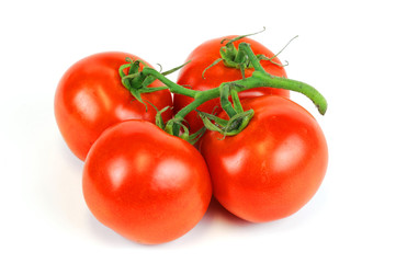 tomato on white background