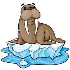 Fotobehang Walrus Cartoon  Illustration of cute cartoon walrus. © rubynurbaidi
