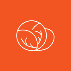 Cabbage line icon.