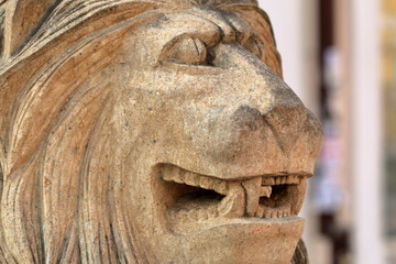 Fototapeta na wymiar Muzzle of a lion from limestone
