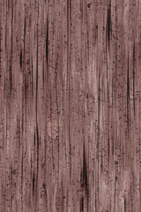 Wood texture