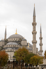Fototapeta na wymiar Blue mosque Istanbul