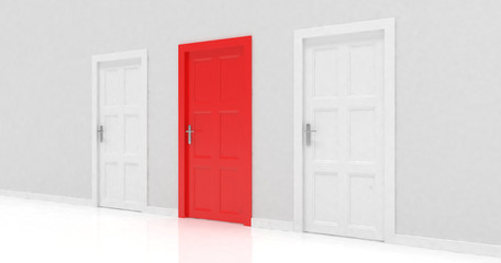 3d door render vote concept