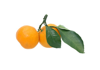 Tangerines On White