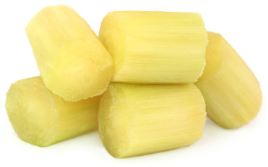 Pieces of sugarcane