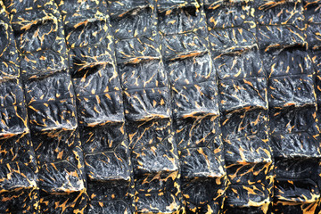 Skin of Crocodile, close up