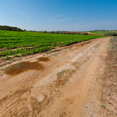 Dirt Road