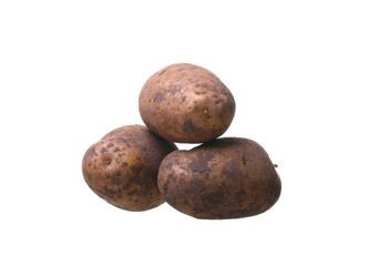 Fototapeta premium potato isolated on white background close up
