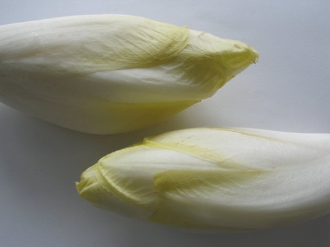 Chikoree