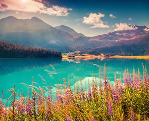 Colorful summer morning on the Champferersee lake.