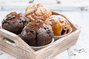 assortment of fresh delicious muffins