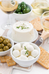 fresh soft cheeses, crackers and pickles to wine, top view