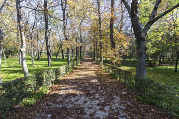 Retiro Park in Msdrid