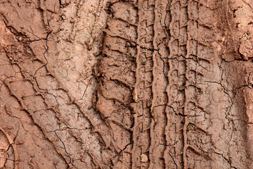 abstract wheel trail background